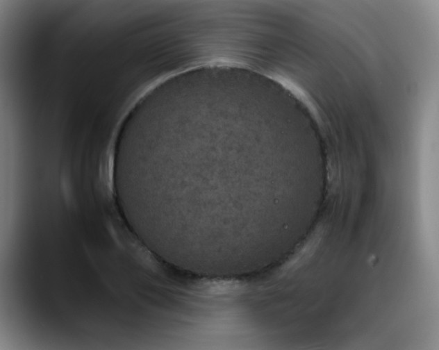 X0000090620886200707171433