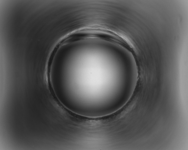 X0000090620888200707171433