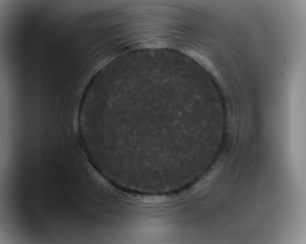X0000090620889200707171433