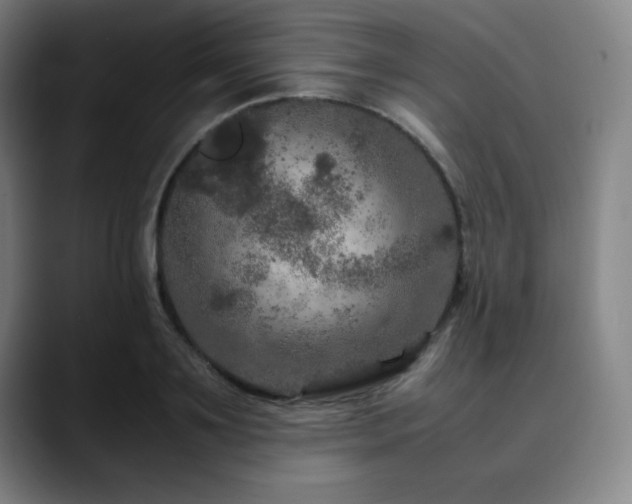 X0000090620891200707171433