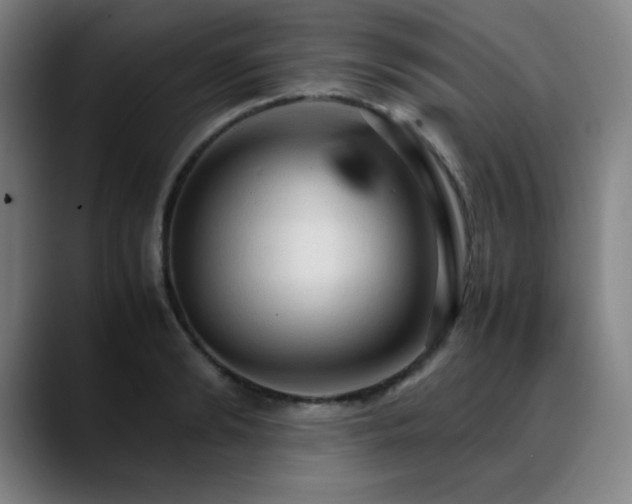 X0000090620894200707171433