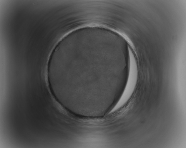 X0000090620895200707171433