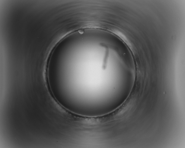 X0000090620901200707171433