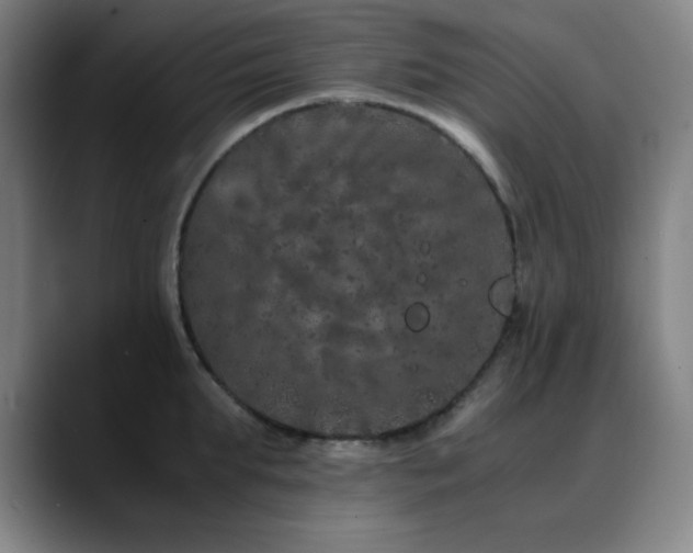 X0000090620903200707171433