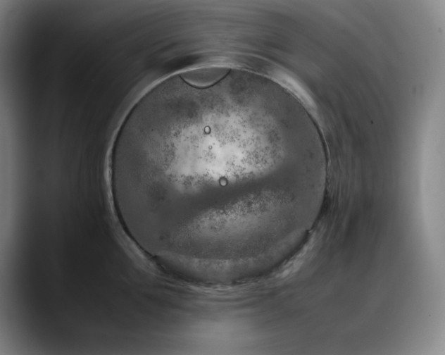 X0000090620907200707171433