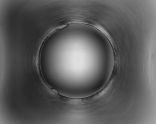 X0000090620909200707171433