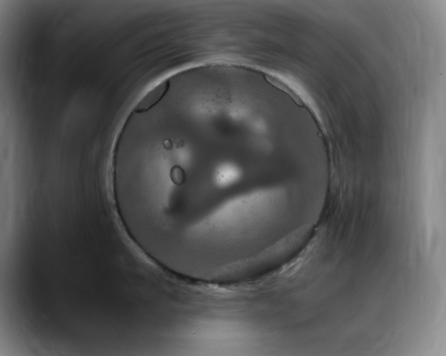 X0000090620911200707171433