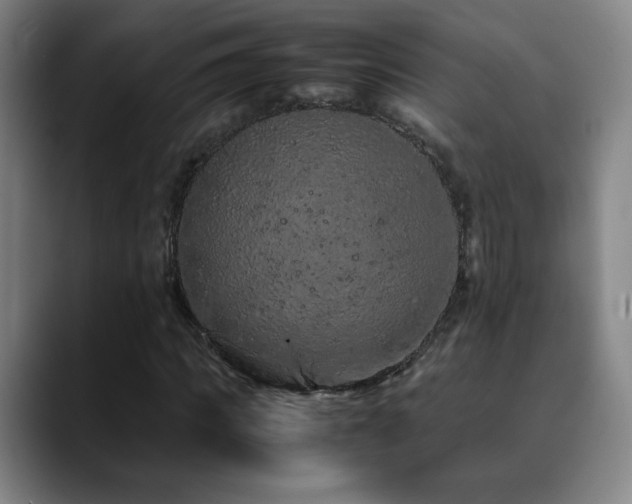 X0000090620917200707171432