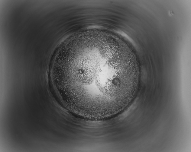 X0000090620921200707171432
