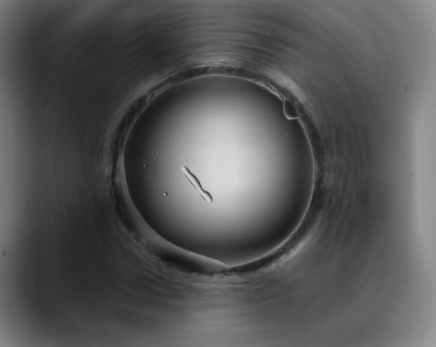 X0000090620922200707171432