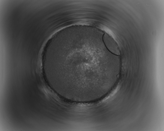 X0000090620923200707171432