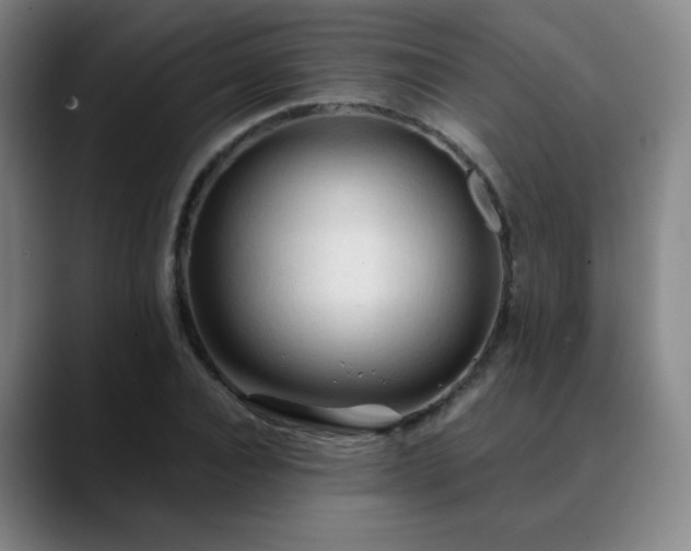 X0000090620928200707171432
