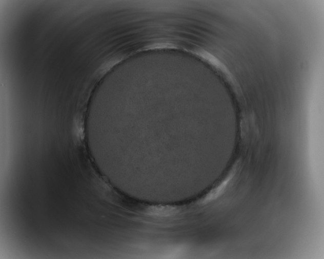 X0000090620929200707171432