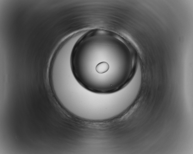 X0000090620932200707171432