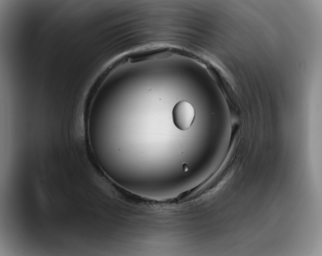 X0000090620934200707171432