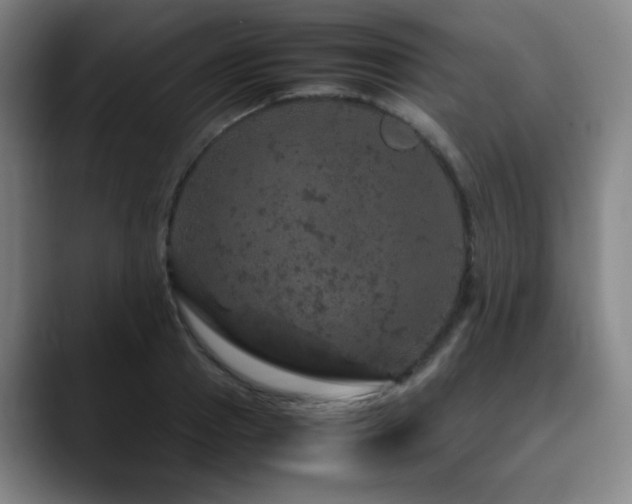 X0000090620937200707171432