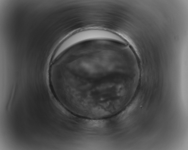X0000090620941200707171433