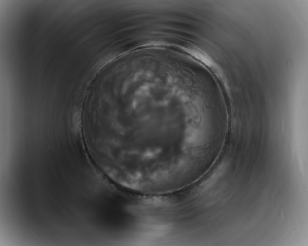X0000090620945200707171433