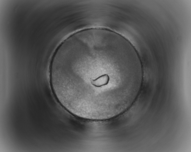 X0000090620950200707171433