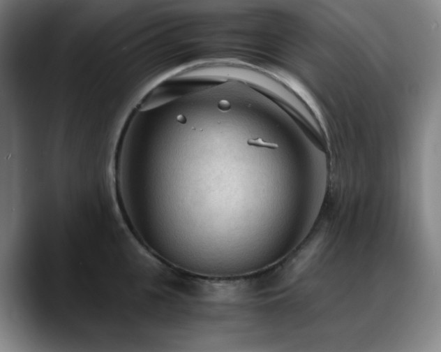 X0000090620951200707171433