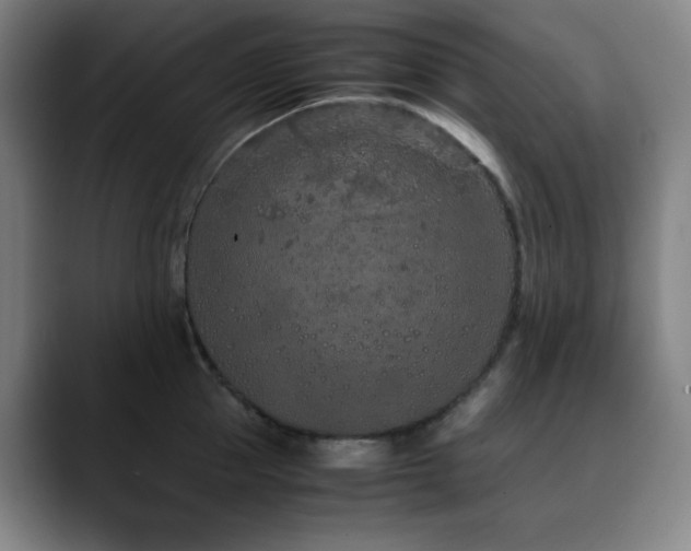 X0000090620953200707171433