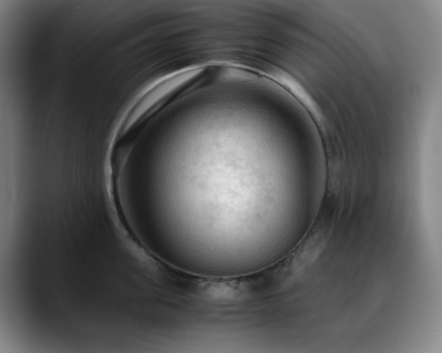 X0000090620955200707171433