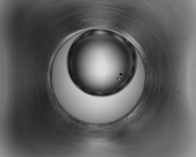 X0000090620956200707171433