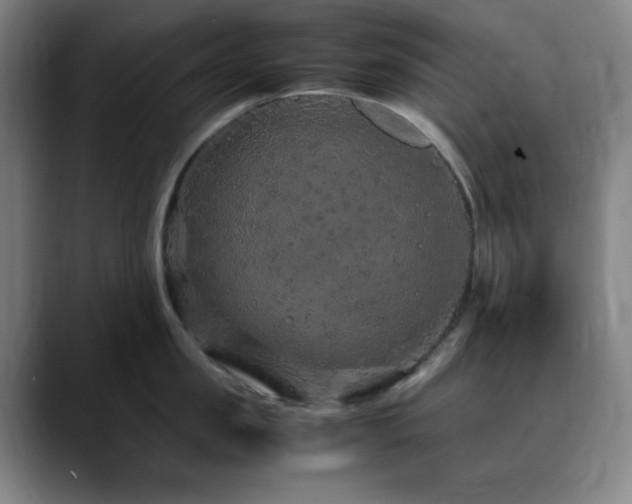 X0000090620957200707171433