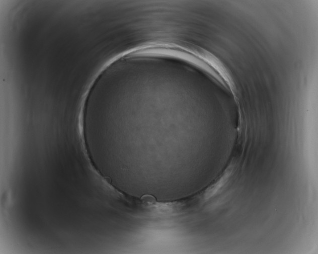 X0000090620958200707171433