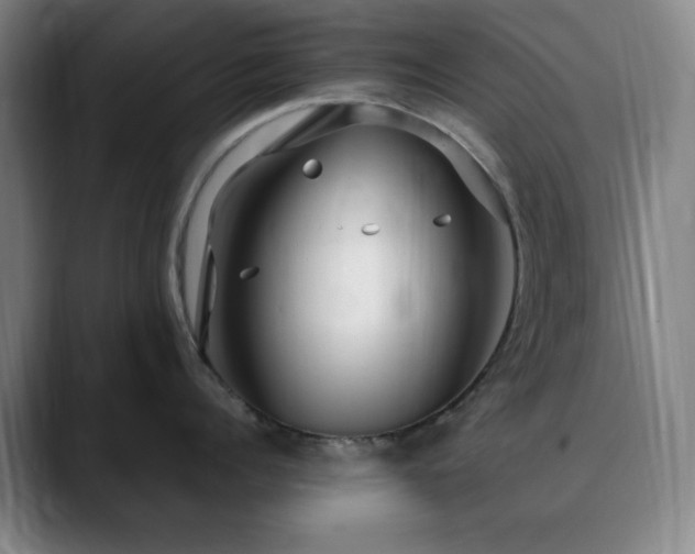 X0000090620960200707171433