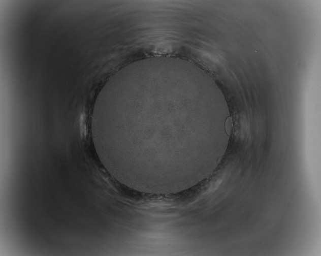 X0000090620962200707171432