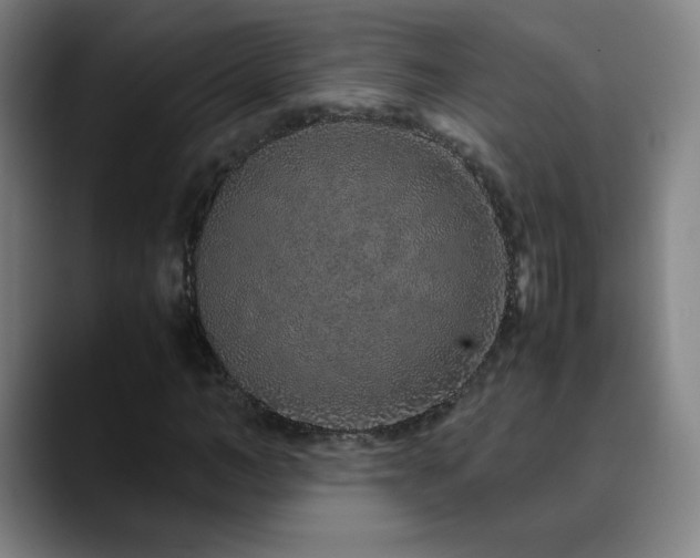 X0000090620966200707171432