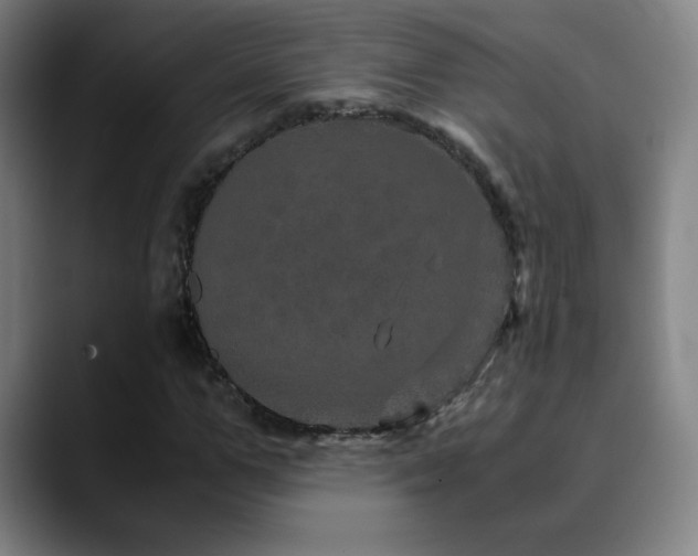 X0000090620967200707171432