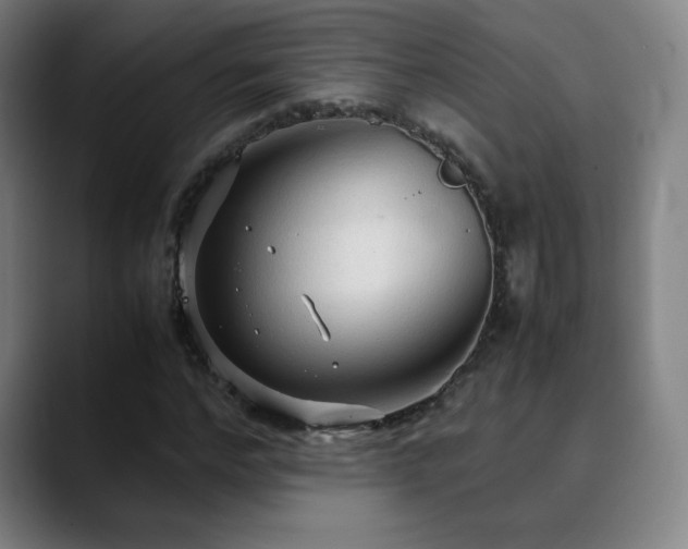 X0000090620968200707171432