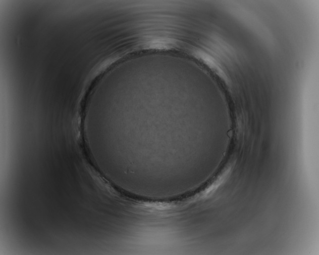 X0000090620970200707171432