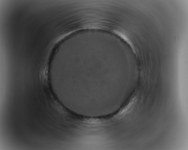 X0000090620971200707171432