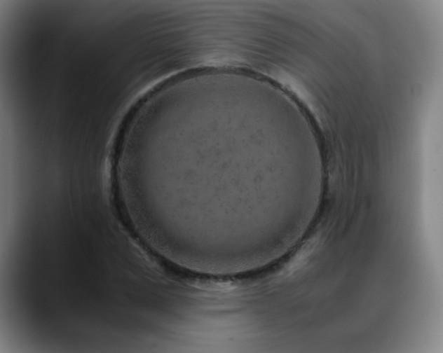 X0000090620975200707171432