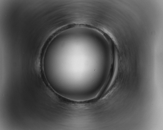 X0000090620976200707171432