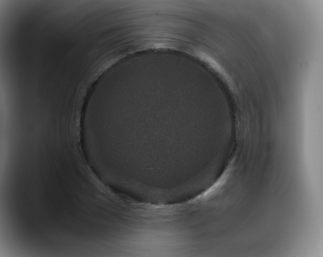 X0000090620977200707171432