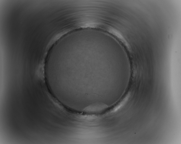 X0000090620978200707171432