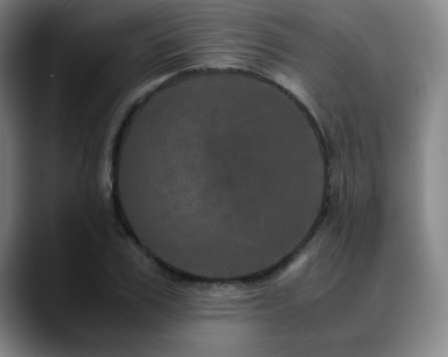 X0000090620979200707171432