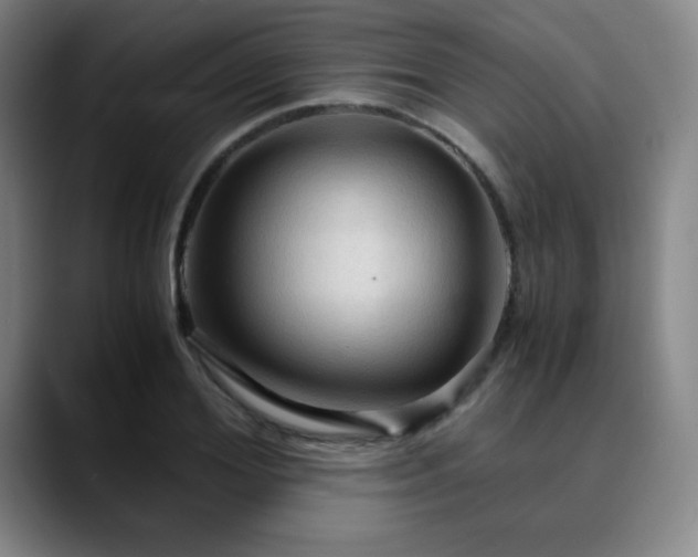 X0000090620980200707171432