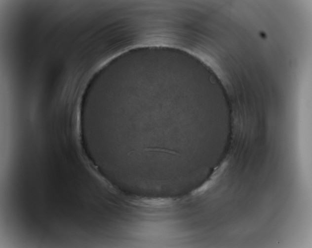 X0000090620982200707171432