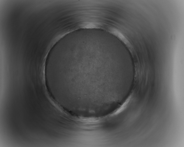 X0000090620986200707171432