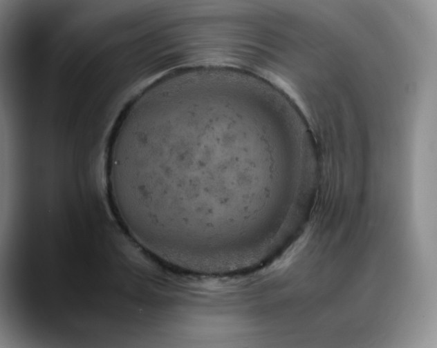 X0000090620987200707171432