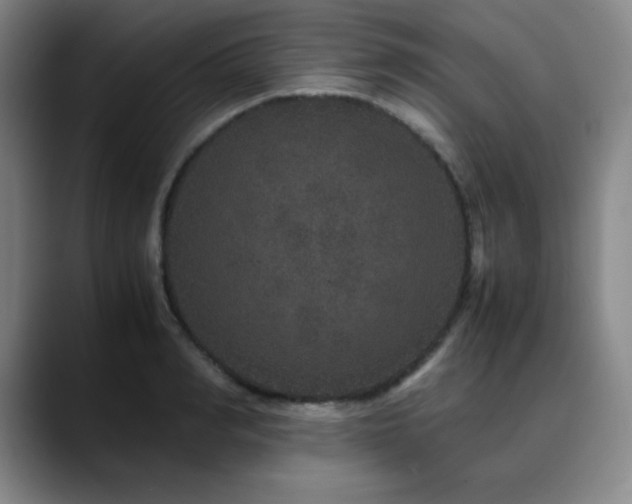 X0000090620990200707171432
