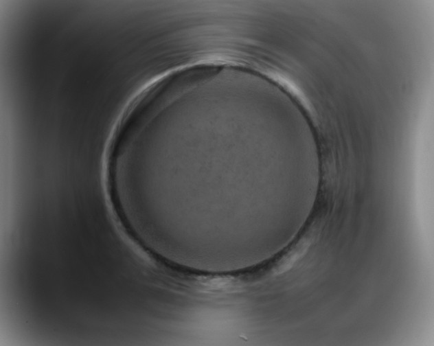X0000090620991200707171432