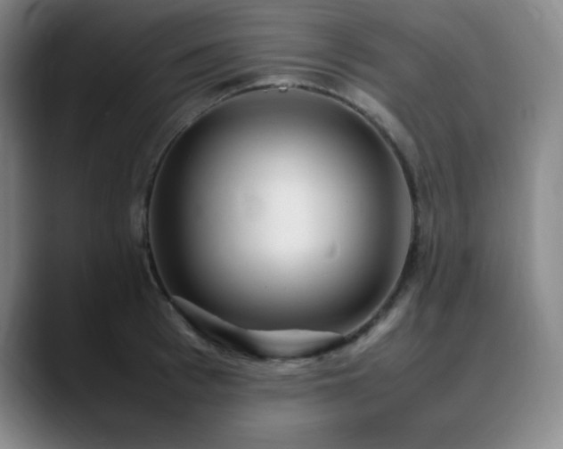 X0000090620993200707171432