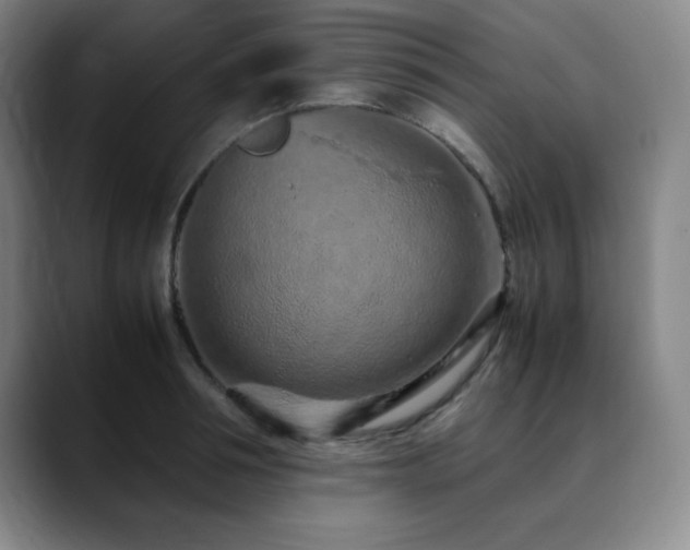 X0000090620994200707171432