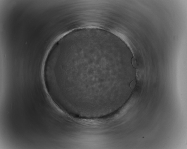 X0000090620995200707171432